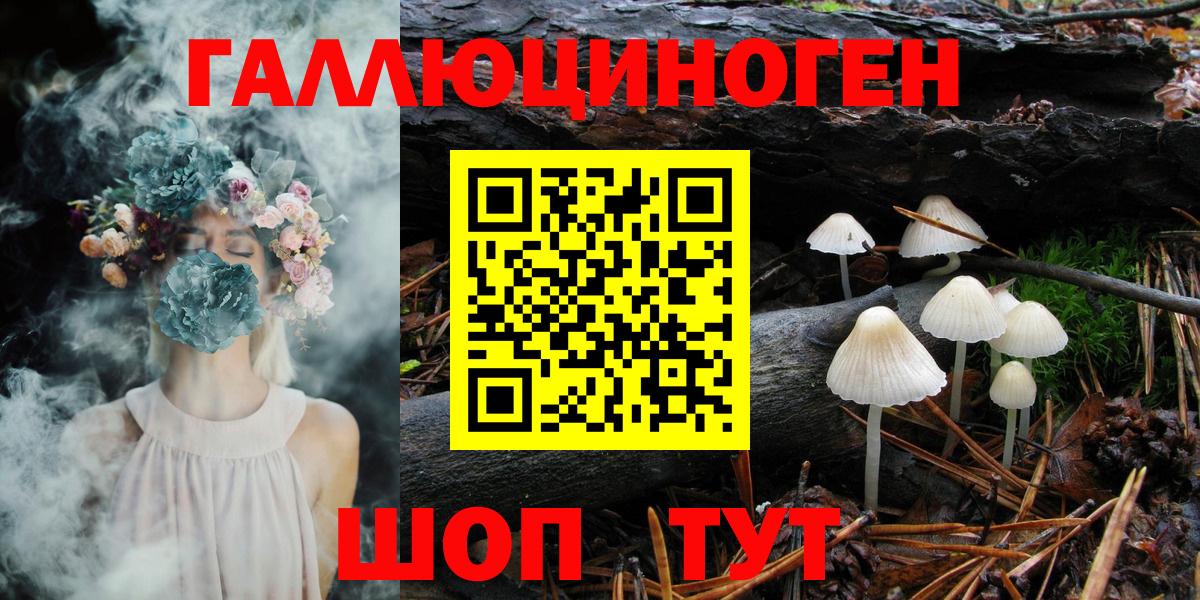 Псилоцибиновые грибы Psilocybine cubensis Калач-на-Дону